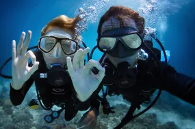 Dive Guide